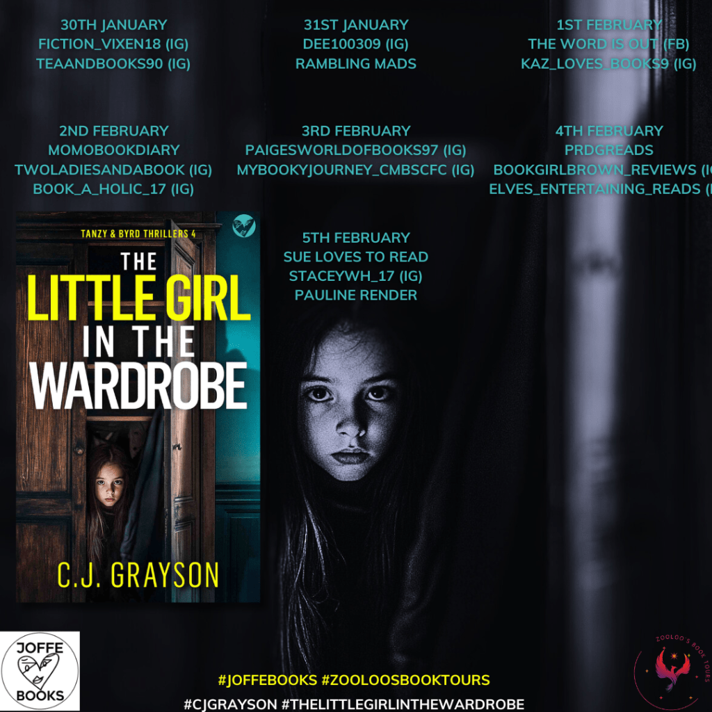 The Little Girl in the Wardrobe by C.J.&nbsp;Grayson