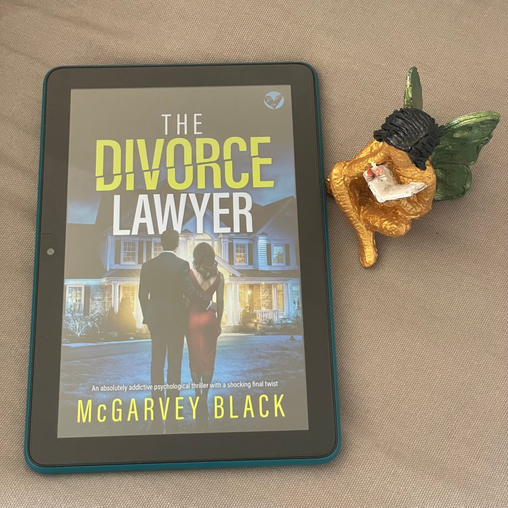 The Divorce Lawyer by McGarvey&nbsp;Black