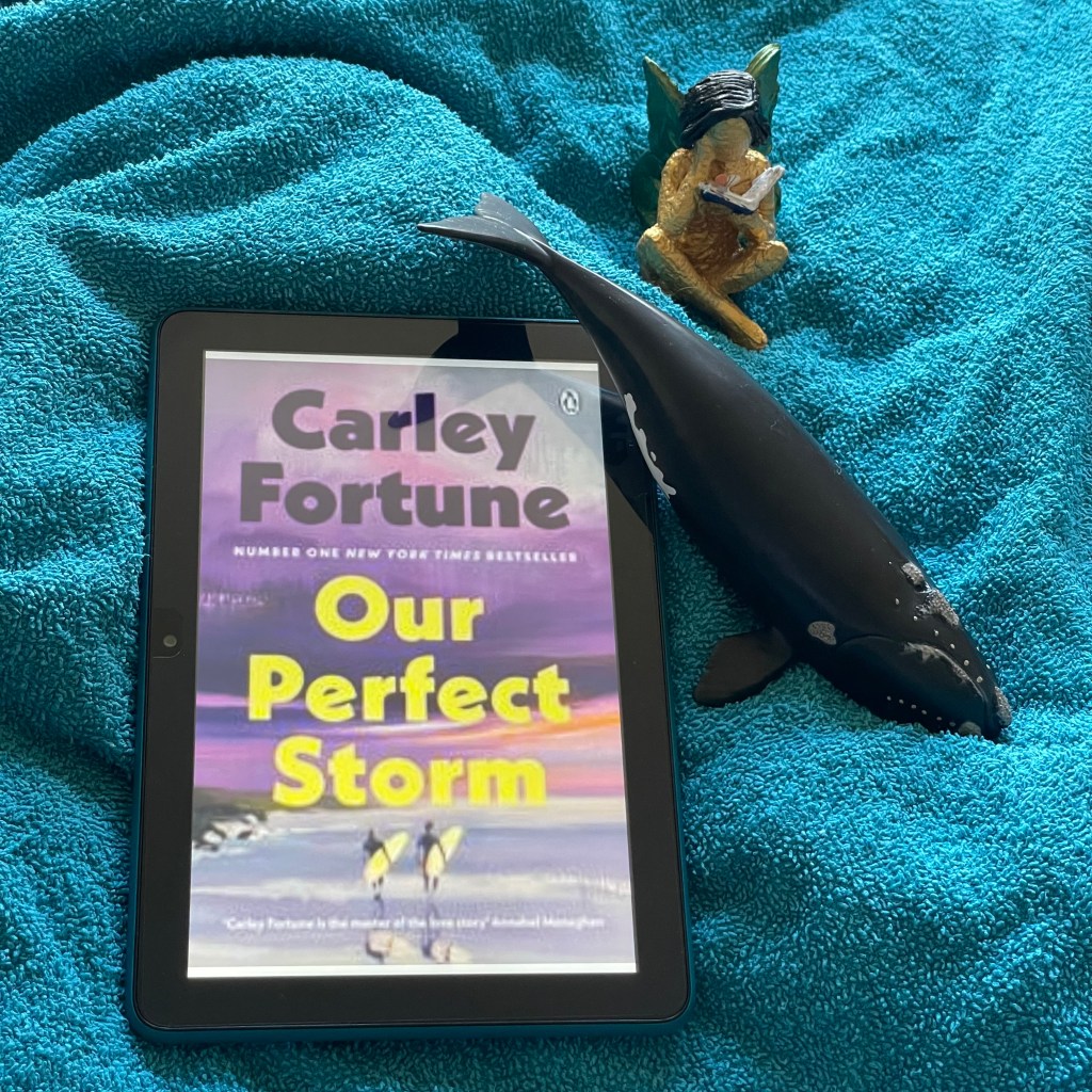 Our Perfect Storm  by Carley&nbsp;Fortune
