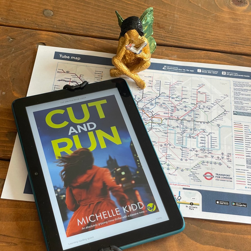Cut and Run by Michelle Kidd